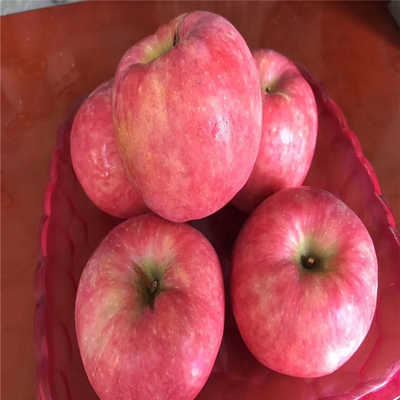 春卷的做法_儿时记忆中的街头小吃-----春卷_春卷怎么做_sunshinewinnie的菜谱_英亚官方网站(图2) 英亚官网