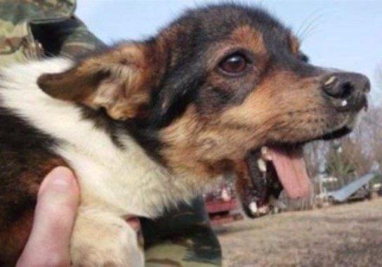 曼联如尤文般遭冰雹袭击所幸球场条件好未延期-英亚官方网站(图3) 英亚官方网站